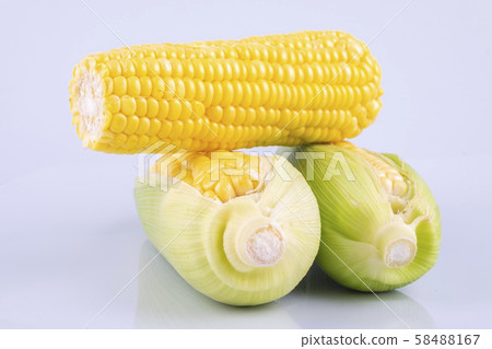 fresh raw sweet corn on the cob kernels 58488167