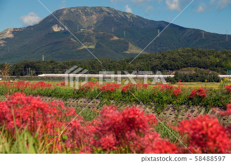 Tokaido Shinkansen autumn scenery Tokaido Shinkansen autumn scenery 58488597