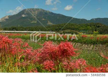 Tokaido Shinkansen autumn scenery Tokaido Shinkansen autumn scenery 58488598