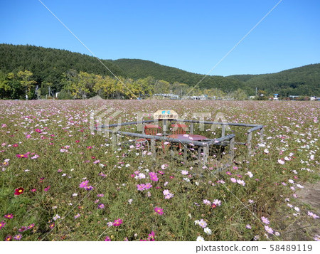 Lake Omagari Park Lake Omagari Park 58489119