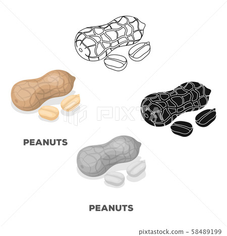 Peanut in the shell.Different kinds of nuts single icon in cartoon,black style vector symbol stock Peanut in the shell.Different kinds of nuts single icon in cartoon,black style vector symbol stock 58489199