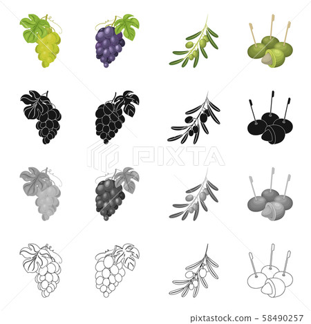 Vector design of berry and fruit icon. Set of... - Stock Illustration ...