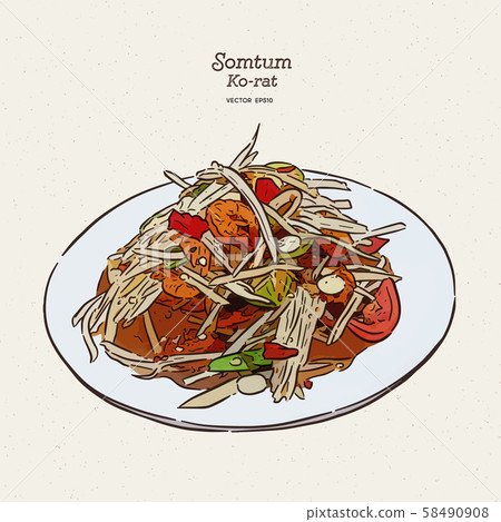 Som tum korat, papaya salad. Hannd draw sketch Som tum korat, papaya salad. Hannd draw sketch 58490908