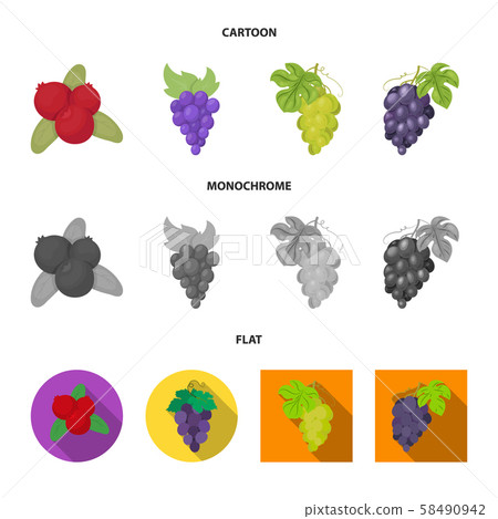 Isolated object of berry and fruit logo. Set of berry and redberry stock symbol for web. Isolated object of berry and fruit logo. Set of berry and redberry stock symbol for web. 58490942
