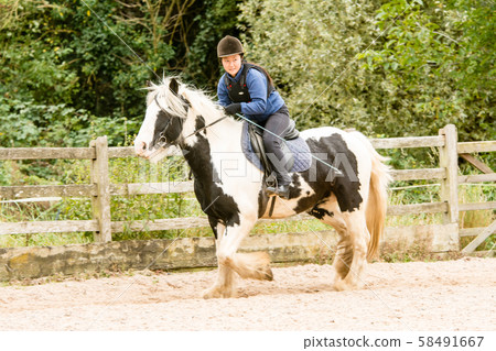 A girl practicing riding on a black and white horse A girl practicing riding on a black and white horse 58491667