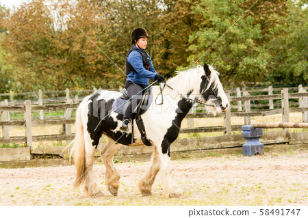 A girl practicing riding on a black and white horse A girl practicing riding on a black and white horse 58491747