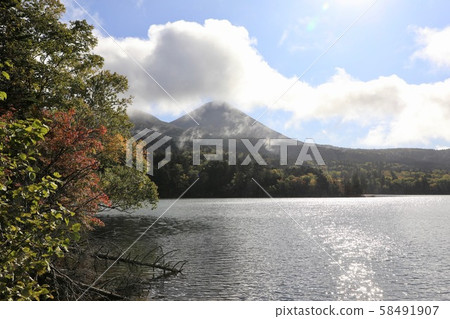 秋天Onnetoto 58491907