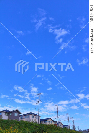 Autumn pattern of residential area 58491981