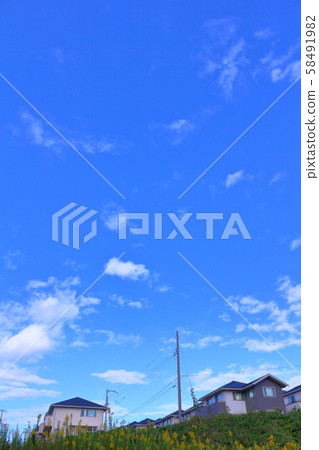 Autumn pattern of residential area 58491982