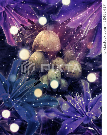 Fantasy mushrooms and flowers 58492417