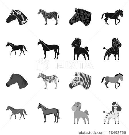 Vector illustration of trot and running symbol. Collection of trot and clipart vector icon for stock Vector illustration of trot and running symbol. Collection of trot and clipart vector icon for stock 58492766