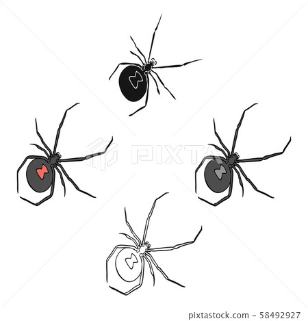 An arthropod bug is an insect.A spider, a predatory insect single icon in cartoon,black style vector 58492927