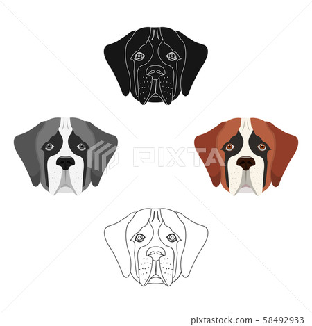 St hotsell bernard muzzle