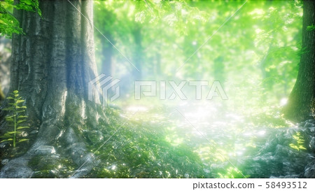 Sunbeams Shining through Natural Forest of Beech 58493512