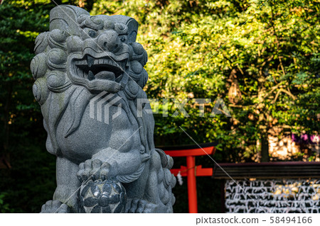 The guardian dog of Kurumiya Shrine 58494166