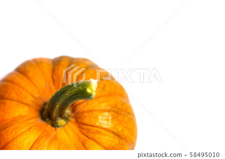 Small pumpkins on white background isolated Small pumpkins on white background isolated 58495010