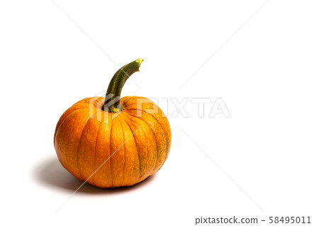 Small pumpkins on white background isolated Small pumpkins on white background isolated 58495011