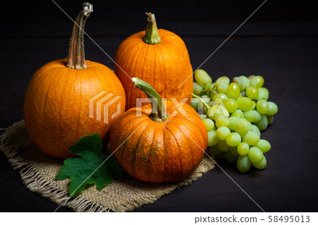 Punkins on a rustic background, Thanksgiving Punkins on a rustic background, Thanksgiving 58495013