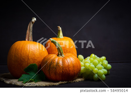 Punkins on a rustic background, Thanksgiving 58495014