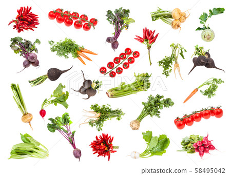 various ripe vegetables with greens isolated various ripe vegetables with greens isolated 58495042