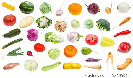 many various fresh ripe vegetables isolated many various fresh ripe vegetables isolated 58495044