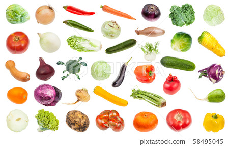 set of various fresh ripe vegetables isolated set of various fresh ripe vegetables isolated 58495045