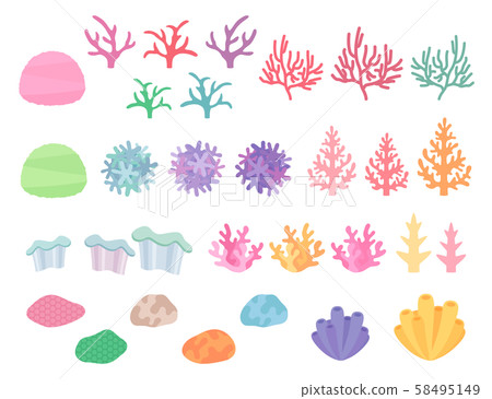 Coral illustration _ material _ set Coral illustration _ material _ set 58495149