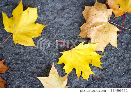 Autumn leaves on a stone background 58496451