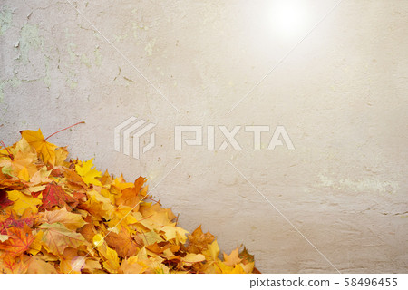 Autumn leaves over stone background with copy space 58496455