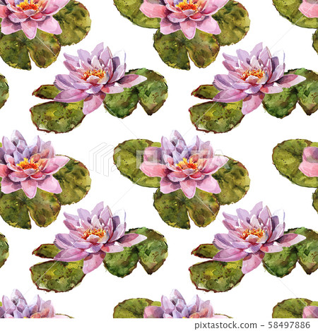 Water lily leaves and flowers bouquet. Hand drawing watercolor pink and purple and green flowers Water lily leaves and flowers bouquet. Hand drawing watercolor pink and purple and green flowers 58497886