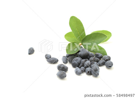 Lotus cup with tree nuts and berries 58498497