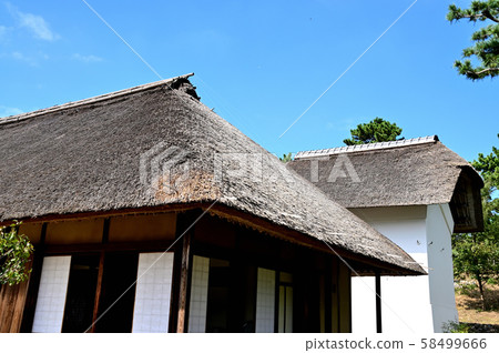 An old private house with a thatched roof 58499666