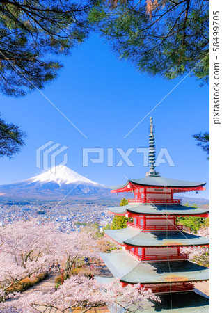 Scenery of Niikurayama Asama Park (Spring) 58499705