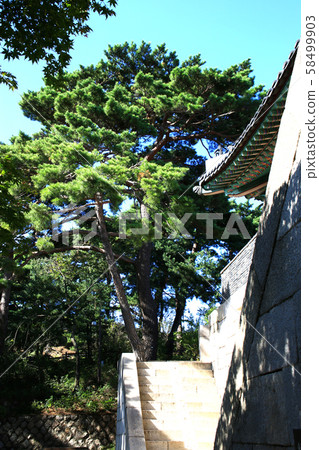 漢陽市鐘路區和步道 58499903