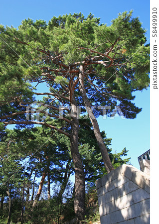 漢陽市鐘路區和步道 58499910