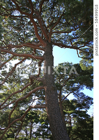 漢陽市鐘路區和步道 58499918