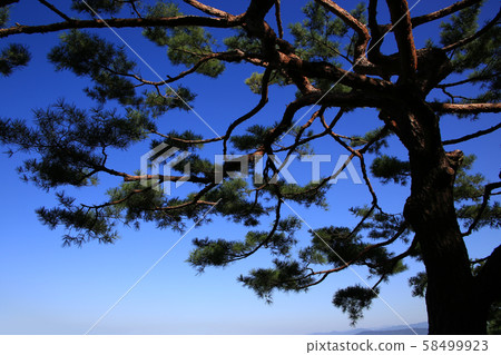 漢陽市鐘路區和步道 58499923