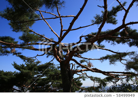 漢陽市鐘路區和步道 58499949