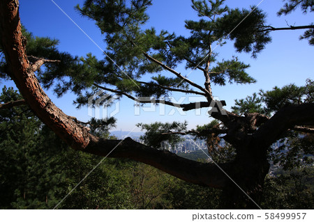 漢陽市鐘路區和步道 漢陽市鐘路區和步道 58499957