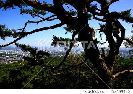 漢陽市鐘路區和步道 58499960