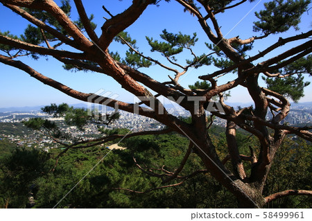 漢陽市鐘路區和步道 58499961