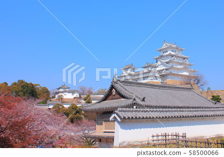 [兵庫縣]姬路城“櫻花” 58500066