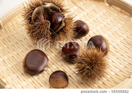 Autumn chestnut Autumn chestnut 58500882