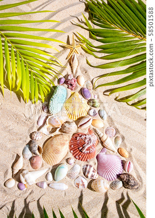 Christmas beach background with sea shells Christmas beach background with sea shells 58501588
