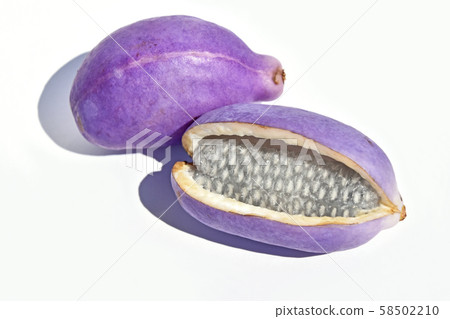 曙（Kidori） 58502210