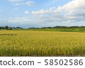 The fruitful autumn. Countryside 58502586