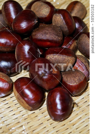 Chestnuts right after being boiled Chestnuts right after being boiled 58503182