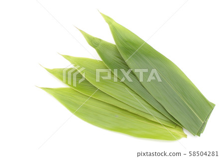 竹葉子，葉子，烹飪，海鮮底襯 58504281