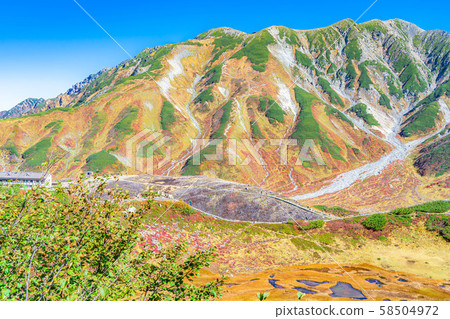 秋天的室堂景色極好的紅葉 富山縣 照片素材 圖片 圖庫