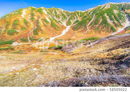 秋天的室堂景色極好的紅葉[富山縣] 58505022